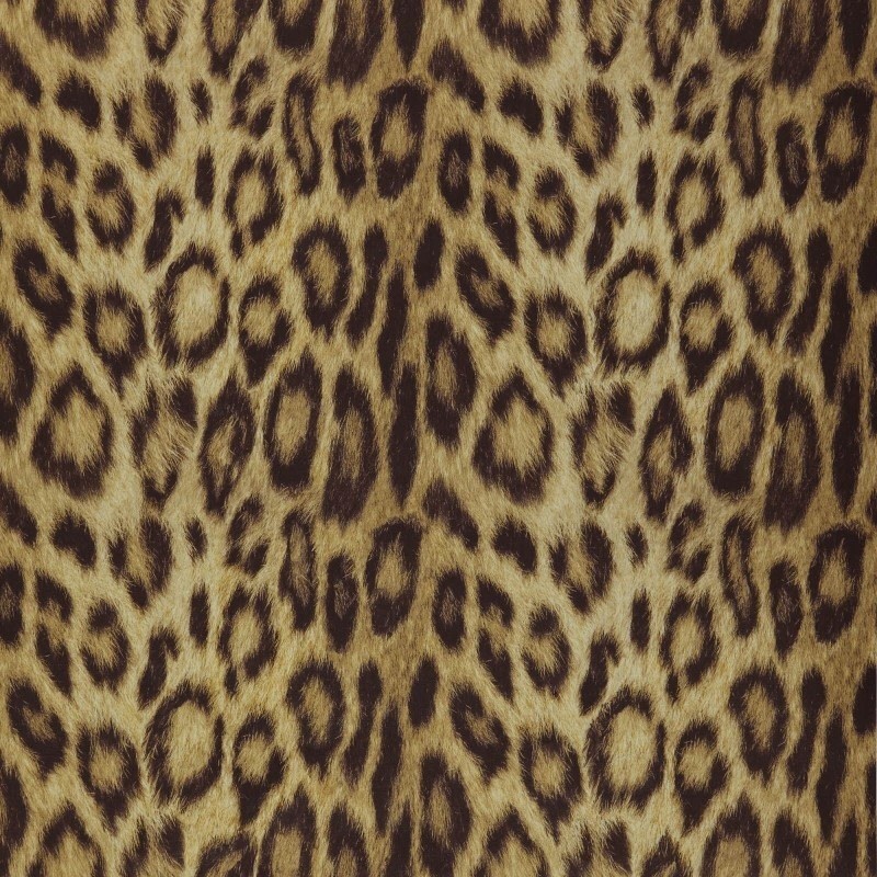 Papel Pintado Covers Wallcovering Jungle Club Panthera 08 Gold