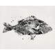 Mural Decorativo Tres Tintas Méditerranéen M2501-1