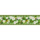 Cenefas Decorativas de Fotomurales DC CEF024