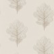 Papel Pintado Sanderson Woodland Walk 215699