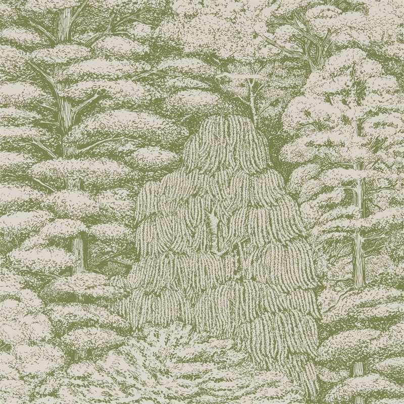 Papel Pintado Sanderson Woodland Walk 215720