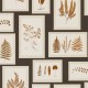 Papel Pintado Sanderson Woodland Walk 215713