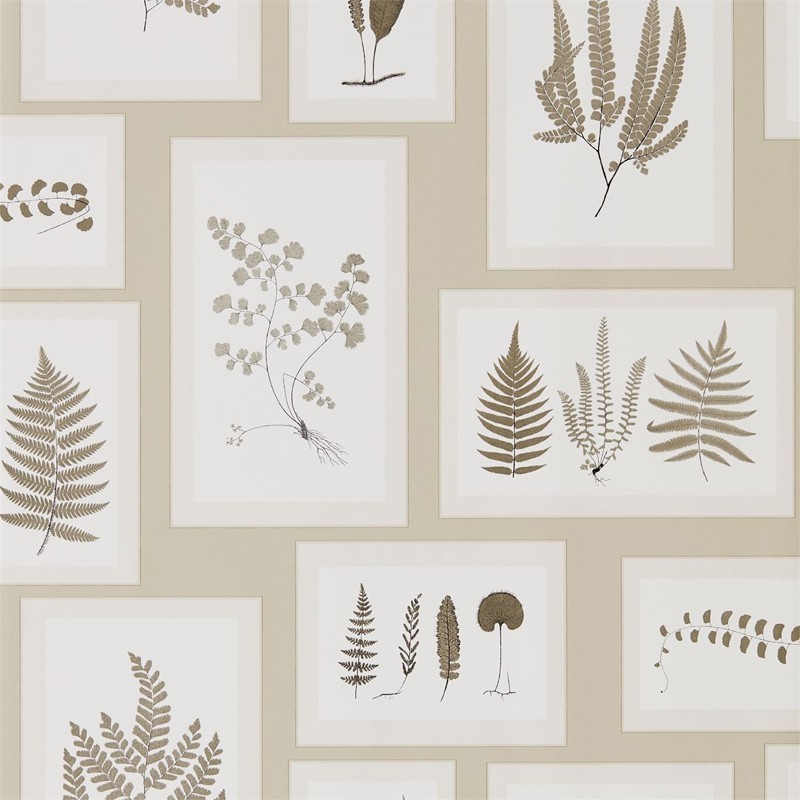 Papel Pintado Sanderson Woodland Walk 215714