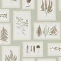 Woodland Walk Fern Gallery 215715 Papel pintado