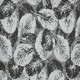 Papel pintado Dans Lemur Quod II 253C03