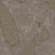 Papel pintado Cole & Son Albemarle 94-7038