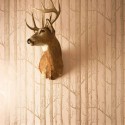 Papel pintado Whimsical 103-5024