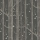 Papel pintado Cole & Son Whimsical 103-11053
