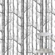 Papel pintado Cole & Son Contemporary Restyled 69-12147 A