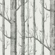 Papel pintado Cole & Son Contemporary Restyled 69-12147