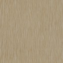 Papel Pintado Ghost Walls CA8218-040