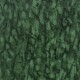 Papel Pintado Nina Campbell Fontibre NCW4204-06