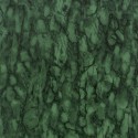 Papel Pintado Fontibre NCW4204-06