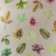 Papel Pintado Osborne & Little Enchanted Gardens W7020-01