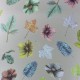 Papel Pintado Osborne & Little Enchanted Gardens W7020-02