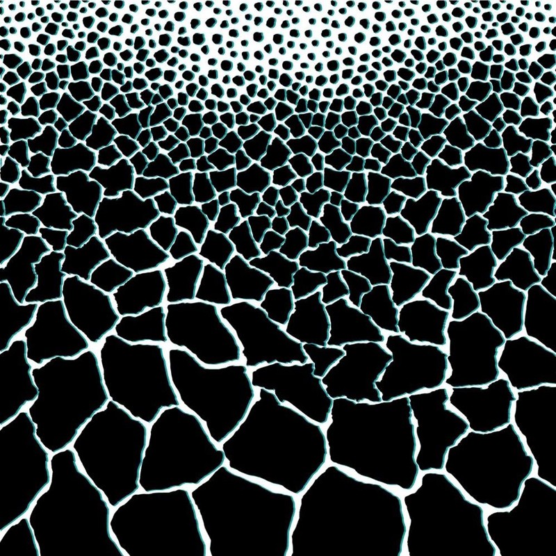 Mural decorativo Roberto Cavalli nº 5 RC16227