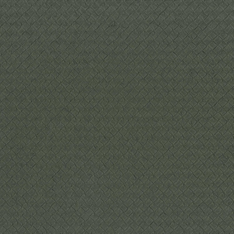 Papel pintado Carlucci di Chivasso Casa Carlucci CA8259-030