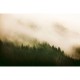 Mural Coordonné Random Papers Woods For Forest 6500204N
