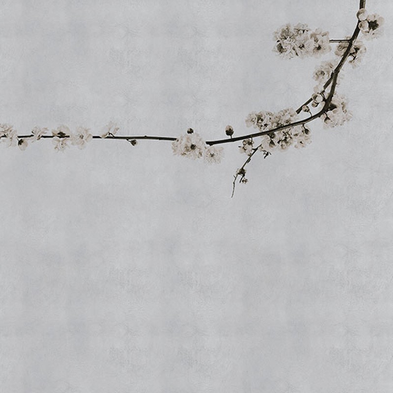 Mural Coordonné Random Papers Blossom Branch 6500307N A