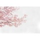 Mural Coordonné Random Papers Blossom Almond Tree 6500306N