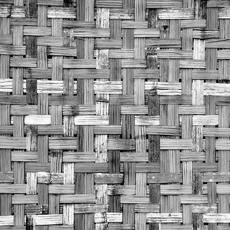 Mural Coordonné Random Papers Palm Tree Frame 6500320N A