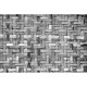 Mural Coordonné Random Papers Palm Tree Frame 6500320N