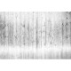 Mural Coordonné Random Papers Wooden Wall 6500407N