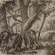 Mural Coordonné Random Papers Elephants 6500506N