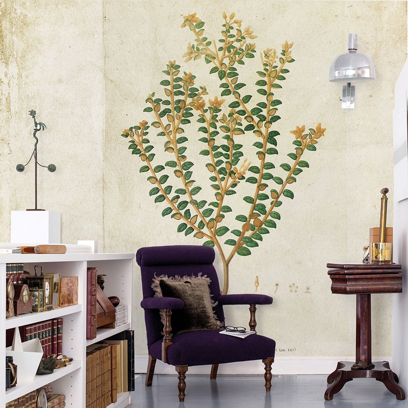 Mural Coordonné Random Papers Botanical Drawing 6500503N A