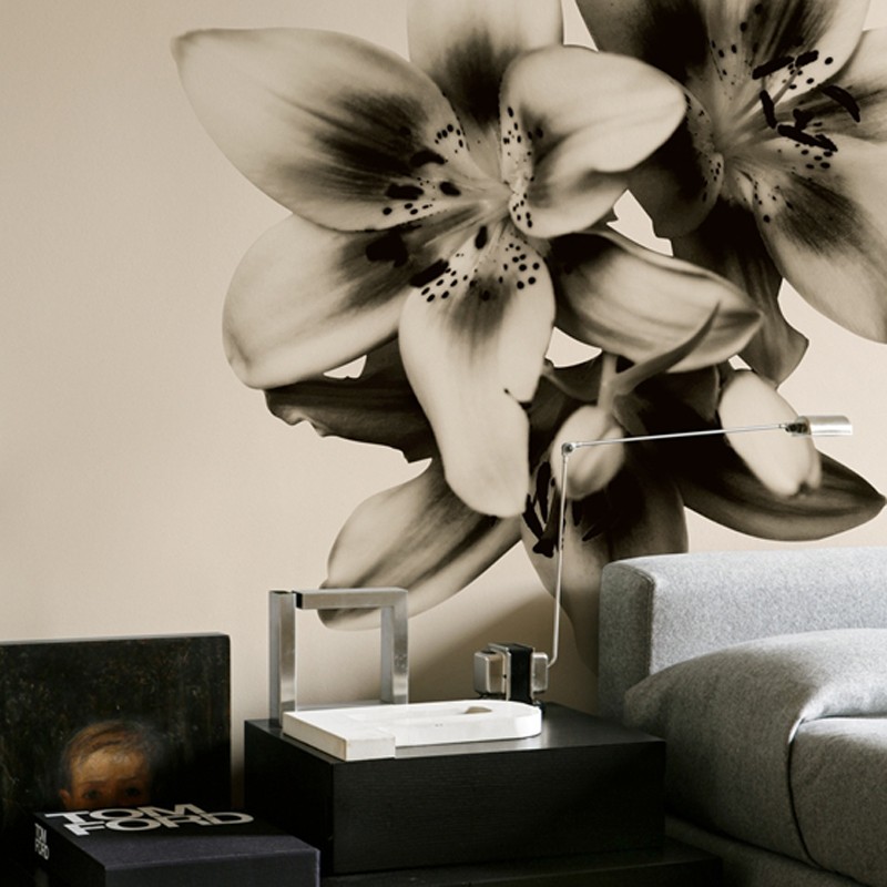 Mural Wall&Deco Contemporary Wallpapers 2010 WDNP0902 A
