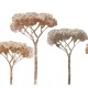 Mural Wall&Deco Contemporary Wallpapers 2011 Decameron BBDE1102