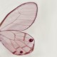 Mural Wall&Decò Contemporary Wallpapers 2013 Tiny Wing WDTW1301