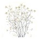Mural Wall&Decò Contemporary Wallpapers 2016 Ramage WDRA1601