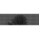 Breeze WDBR1701