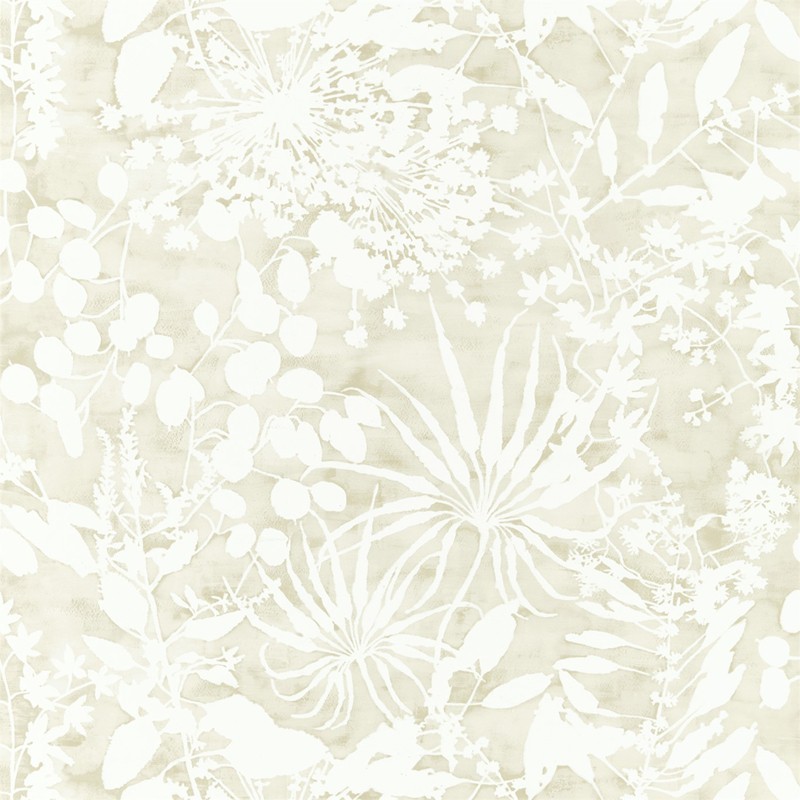 Papel pintado Harlequin Anthozoa Coralline 111638