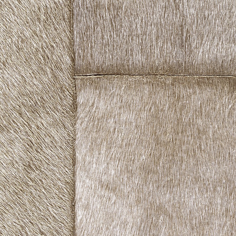 Papel pintado Élitis Indomptée Appaloosa VP-618-06