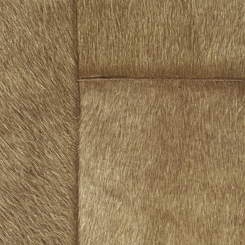 Papel pintado Élitis Indomptée Appaloosa VP-618-09