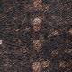 Panel Decorativo Élitis Indomptée Balmoral VP-615-02