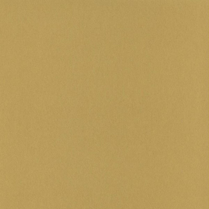 Papel pintado Casadeco Fontainebleau Uni FONT81582102