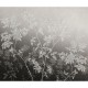 Mural Tres Tintas Journeys English Garden JO1006-3N