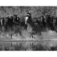 Mural decorativo Saint Honoré Global Fusion 122-G45278