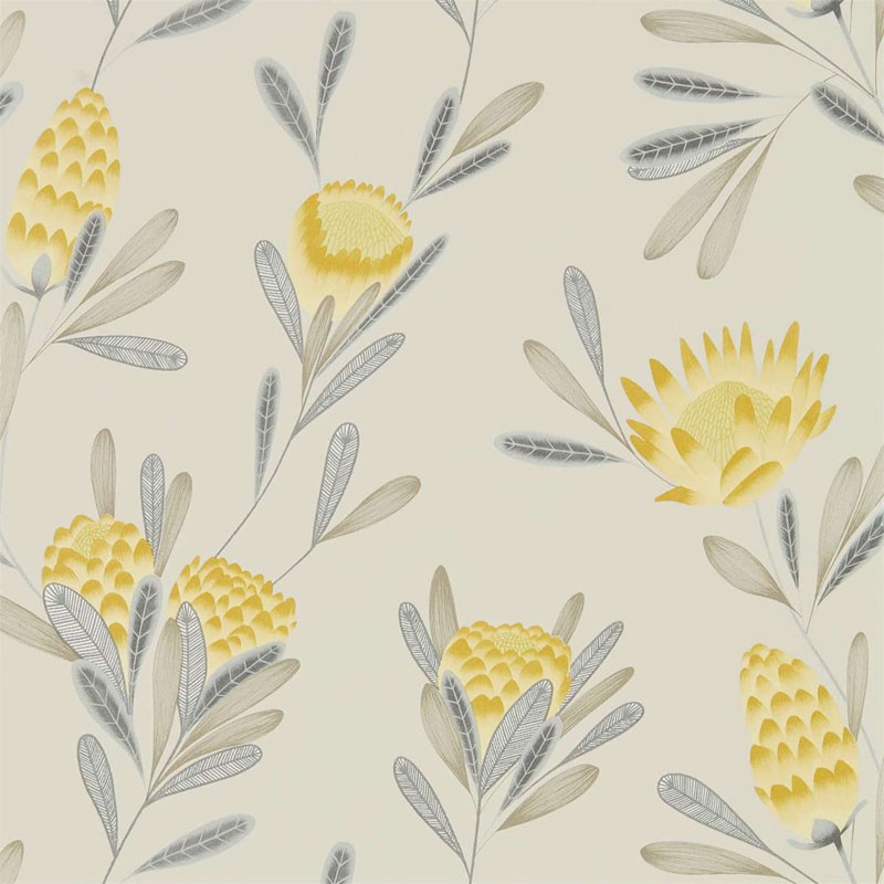 Papel pintado Harlequin Zapara Cayo 111774