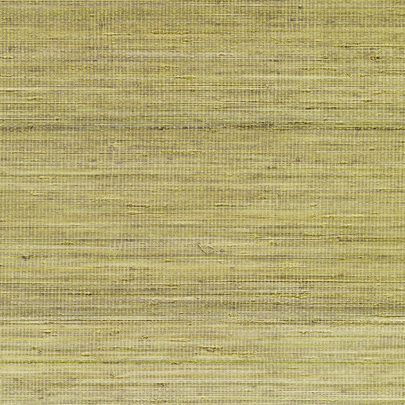 Papel pintado Elitis Panama Musa VP710-11