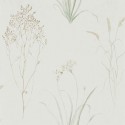 Embleton Bay Farne Grasses 216488 Sanderson Papel pintado
