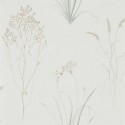 Embleton Bay Farne Grasses 216487 Sanderson Papel pintado