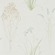 Papel pintado Sanderson Embleton Bay Farne Grasses 216486