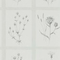 Embleton Bay Little Thistles 216512 Sanderson Papel pintado