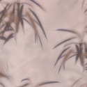 Dimensions 219546 Papel pintado BN Walls