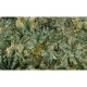Mural Coordonné 40 th Anniversary Lara Costafreda Jungle Dream 8000057-N