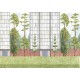 Mural Coordonné 40 th Anniversary Pascua Ortega Urban Garden 8000076-N